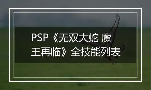 PSP《无双大蛇 魔王再临》全技能列表