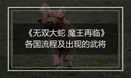 《无双大蛇 魔王再临》各国流程及出现的武将