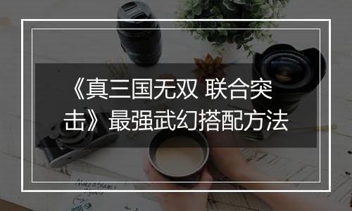 《真三国无双 联合突击》最强武幻搭配方法