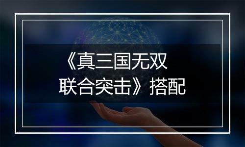 《真三国无双 联合突击》搭配