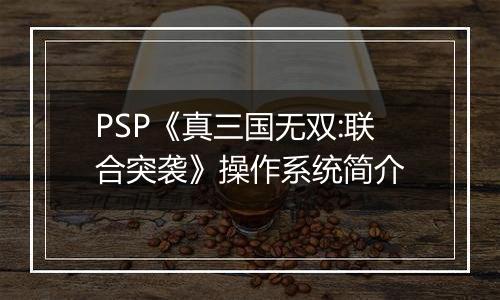 PSP《真三国无双:联合突袭》操作系统简介