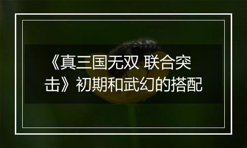 《真三国无双 联合突击》初期和武幻的搭配