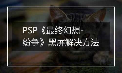 PSP《最终幻想-纷争》黑屏解决方法