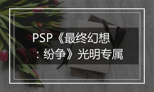 PSP《最终幻想：纷争》光明专属