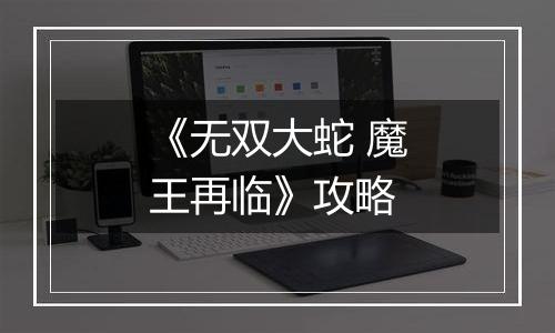 《无双大蛇 魔王再临》攻略