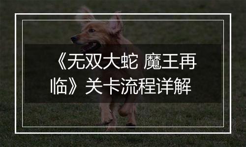 《无双大蛇 魔王再临》关卡流程详解