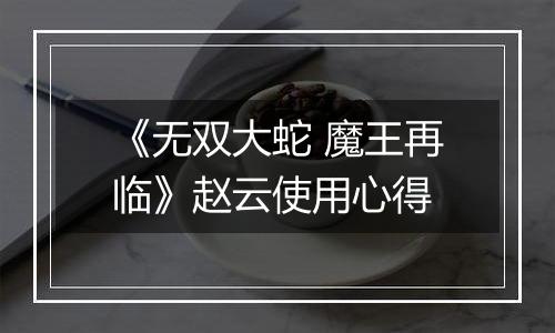 《无双大蛇 魔王再临》赵云使用心得