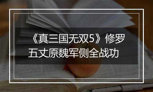 《真三国无双5》修罗五丈原魏军侧全战功