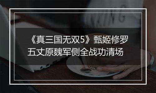 《真三国无双5》甄姬修罗五丈原魏军侧全战功清场