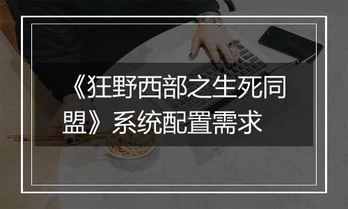 《狂野西部之生死同盟》系统配置需求