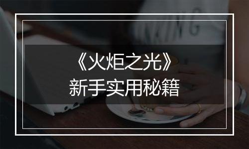 《火炬之光》新手实用秘籍
