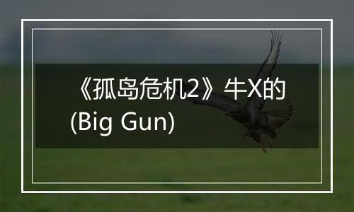 《孤岛危机2》牛X的(Big Gun)