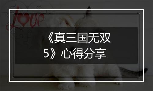 《真三国无双5》心得分享