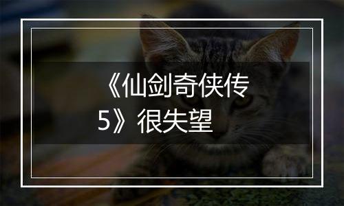 《仙剑奇侠传5》很失望