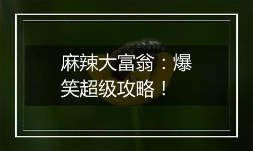 麻辣大富翁：爆笑超级攻略！