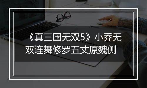《真三国无双5》小乔无双连舞修罗五丈原魏侧