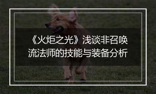 《火炬之光》浅谈非召唤流法师的技能与装备分析