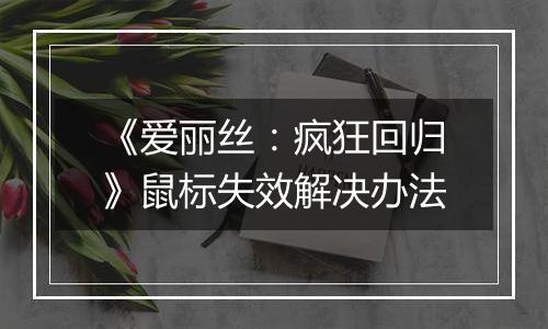 《爱丽丝：疯狂回归》鼠标失效解决办法