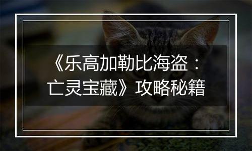 《乐高加勒比海盗：亡灵宝藏》攻略秘籍