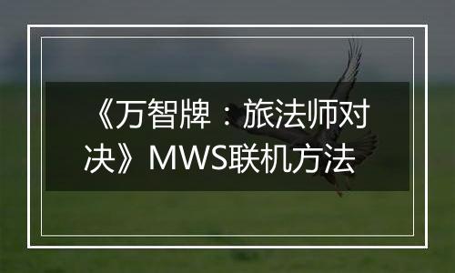 《万智牌：旅法师对决》MWS联机方法