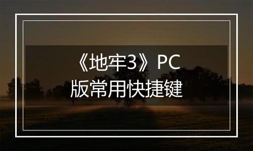 《地牢3》PC版常用快捷键