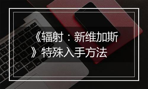 《辐射：新维加斯》特殊入手方法