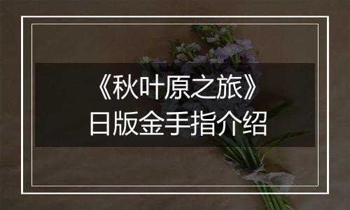 《秋叶原之旅》日版金手指介绍