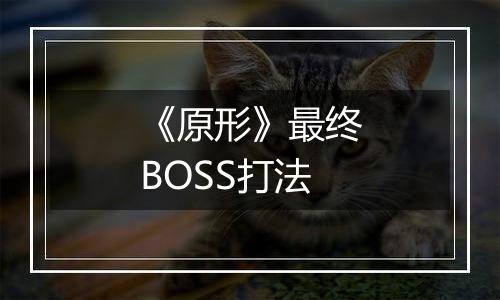 《原形》最终BOSS打法