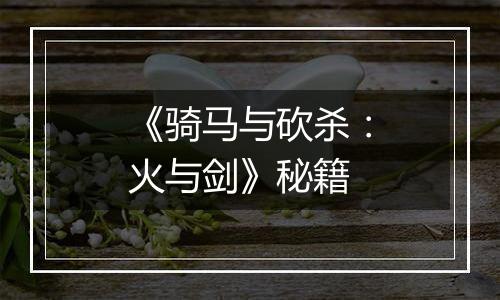 《骑马与砍杀：火与剑》秘籍
