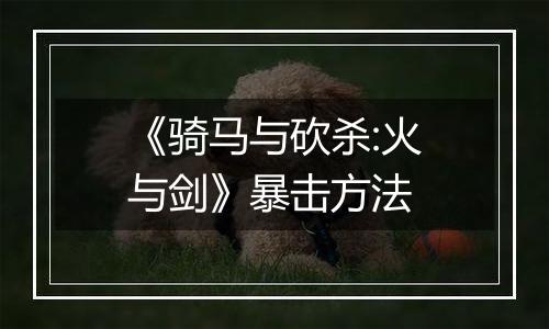 《骑马与砍杀:火与剑》暴击方法