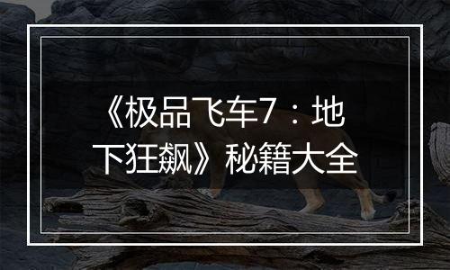 《极品飞车7：地下狂飙》秘籍大全