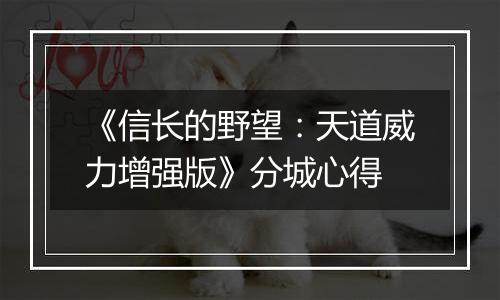 《信长的野望：天道威力增强版》分城心得