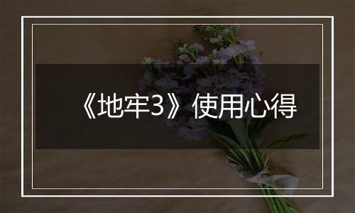 《地牢3》使用心得