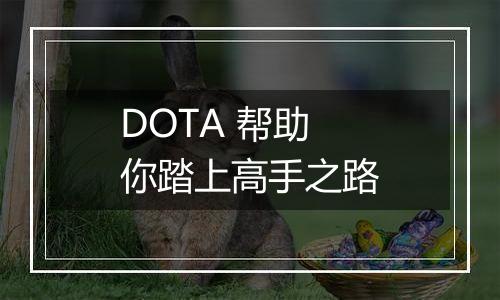 DOTA 帮助你踏上高手之路