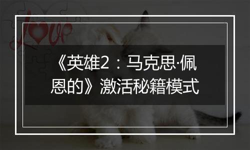 《英雄2：马克思·佩恩的》激活秘籍模式