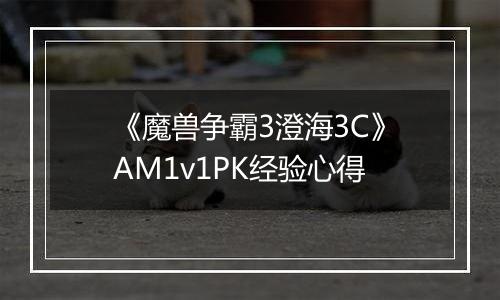 《魔兽争霸3澄海3C》AM1v1PK经验心得