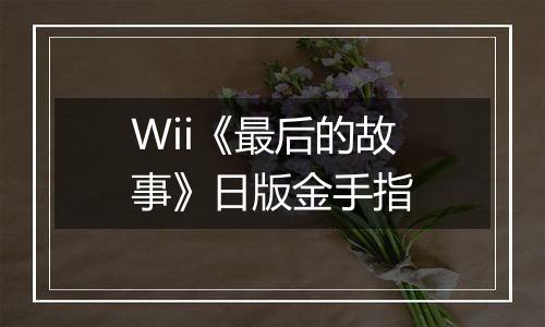 Wii《最后的故事》日版金手指