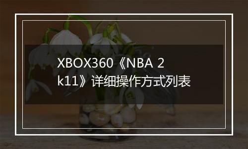 XBOX360《NBA 2k11》详细操作方式列表