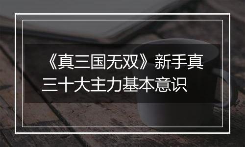 《真三国无双》新手真三十大主力基本意识