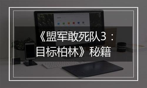 《盟军敢死队3：目标柏林》秘籍