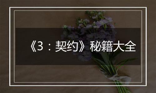 《3：契约》秘籍大全