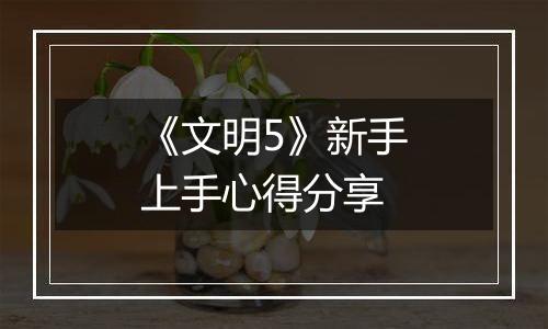 《文明5》新手上手心得分享