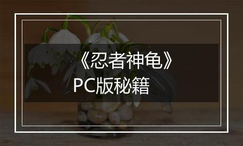 《忍者神龟》PC版秘籍