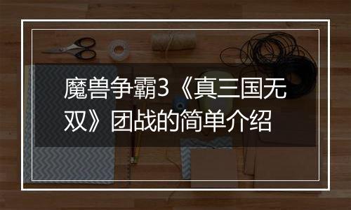 魔兽争霸3《真三国无双》团战的简单介绍