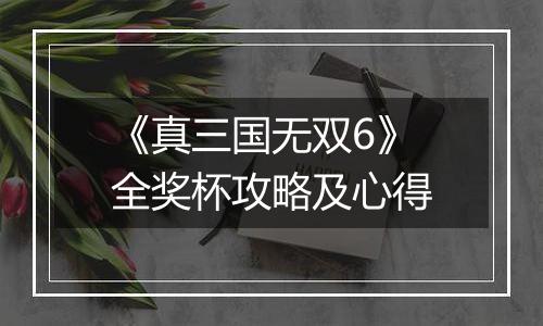 《真三国无双6》全奖杯攻略及心得