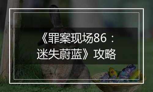 《罪案现场86：迷失蔚蓝》攻略