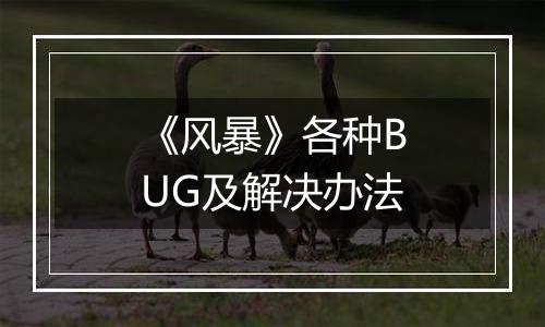 《风暴》各种BUG及解决办法