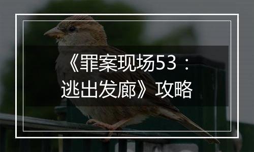 《罪案现场53：逃出发廊》攻略