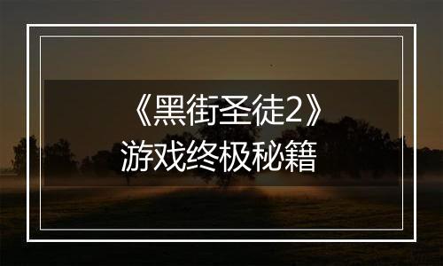 《黑街圣徒2》游戏终极秘籍