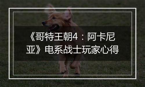 《哥特王朝4：阿卡尼亚》电系战士玩家心得